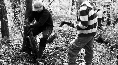 Sammeln von Holz für die Bearbeitung